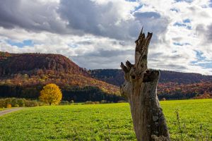 Wanderwege bei Talheim Wanderwege bei Talheim