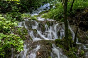 TalheimerWasserfall 08 20210717 P7170467