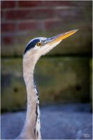 christian t.   export 2025 10 02