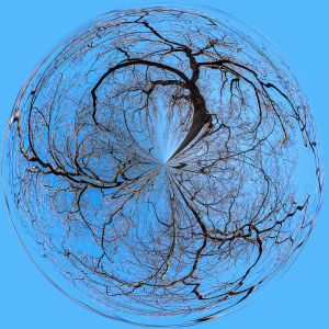 08   friedrich schmollinger  